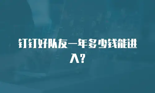 钉钉好队友一年多少钱能进入？
