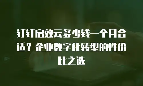 钉钉启效云多少钱一个月合适？企业数字化转型的性价比之选