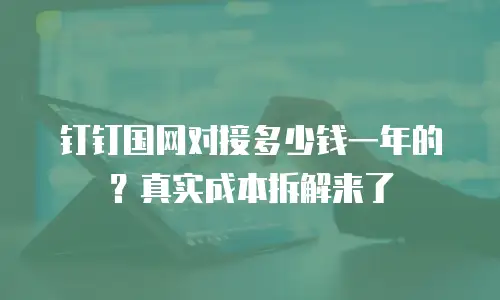 钉钉国网对接多少钱一年的？真实成本拆解来了