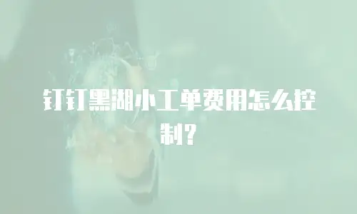 钉钉黑湖小工单费用怎么控制？