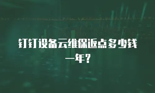 钉钉设备云维保返点多少钱一年？