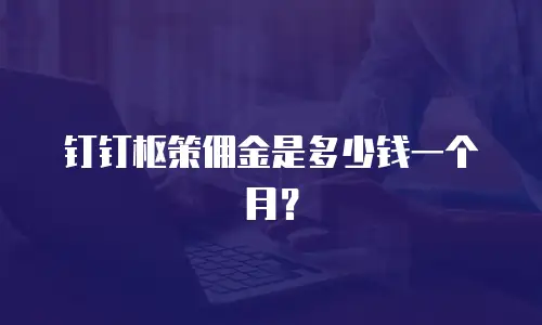 钉钉枢策佣金是多少钱一个月？