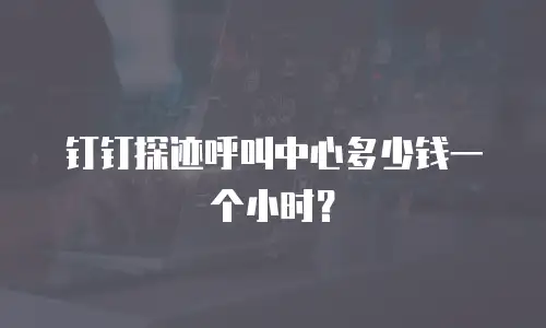 钉钉探迹呼叫中心多少钱一个小时？