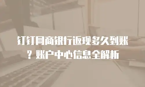 钉钉网商银行返现多久到账？账户中心信息全解析