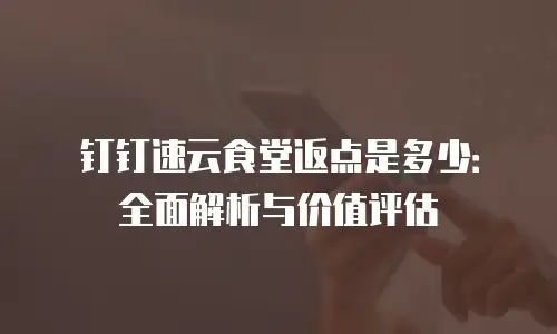 钉钉速云食堂返点是多少：全面解析与价值评估