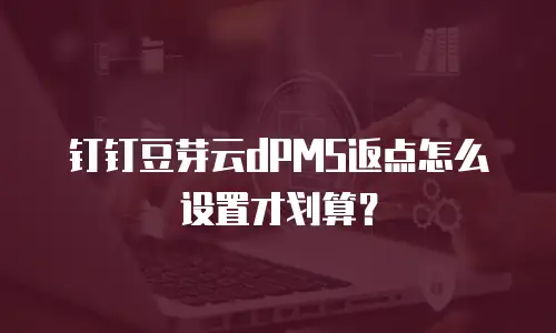 钉钉豆芽云dPMS返点怎么设置才划算？