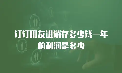 钉钉用友进销存多少钱一年的利润是多少
