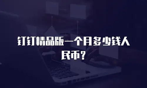 钉钉精品版一个月多少钱人民币？