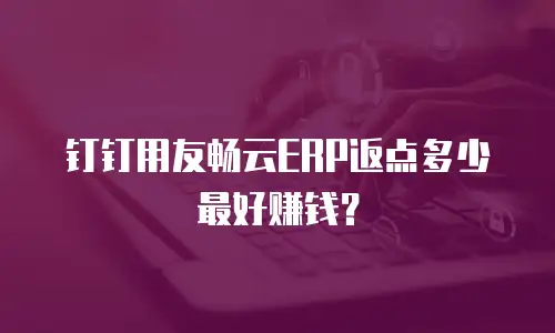 钉钉用友畅云ERP返点多少最好赚钱？