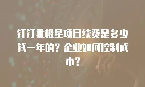 钉钉北极星项目续费是多少钱一年的？企业如何控制成本？