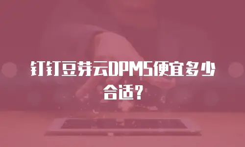 钉钉豆芽云DPMS便宜多少合适？