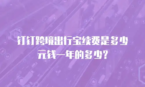 钉钉跨境出行宝续费是多少元钱一年的多少？
