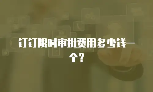 钉钉限时审批费用多少钱一个？
