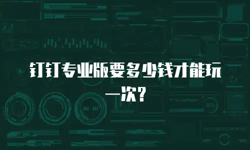 钉钉专业版要多少钱才能玩一次？