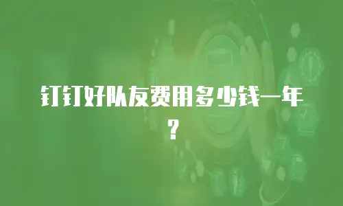 钉钉好队友费用多少钱一年？
