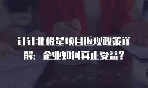 钉钉北极星项目返现政策详解：企业如何真正受益？