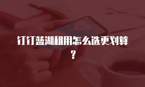 钉钉蓝湖租用怎么选更划算？