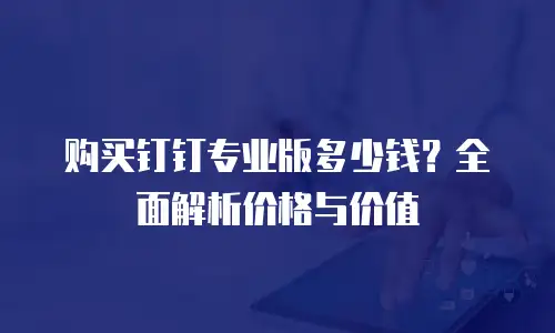购买钉钉专业版多少钱？全面解析价格与价值