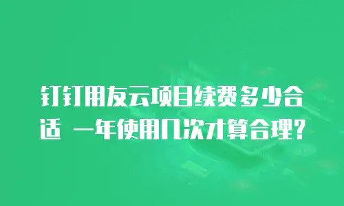 钉钉用友云项目续费多少合适 一年使用几次才算合理？