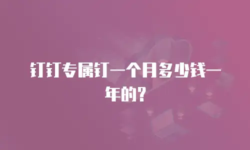 钉钉专属钉一个月多少钱一年的？