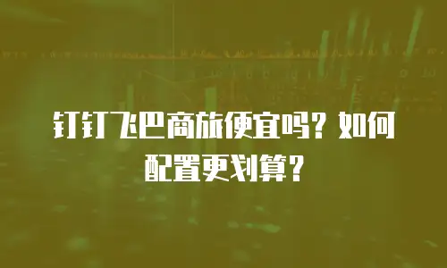 钉钉飞巴商旅便宜吗？如何配置更划算？