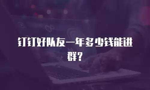 钉钉好队友一年多少钱能进群？