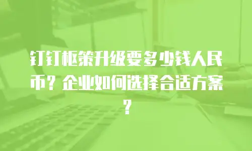钉钉枢策升级要多少钱人民币？企业如何选择合适方案？