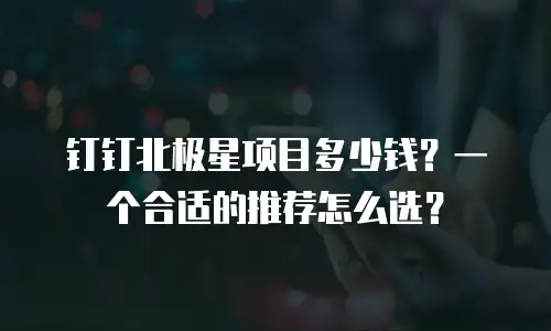 钉钉北极星项目多少钱？一个合适的推荐怎么选？