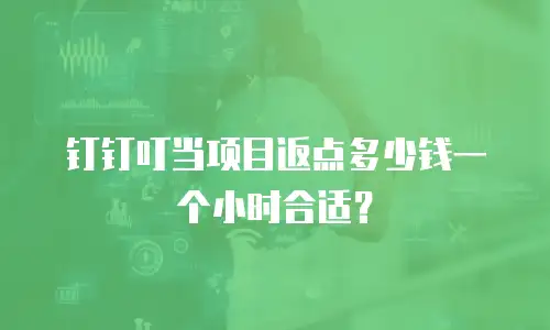 钉钉叮当项目返点多少钱一个小时合适？