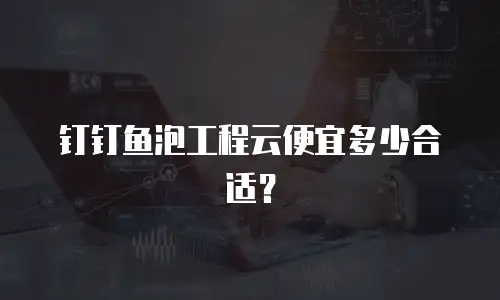 钉钉鱼泡工程云便宜多少合适？