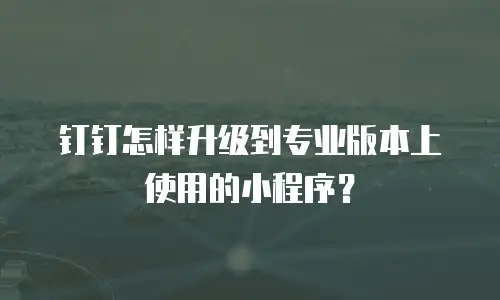 钉钉怎样升级到专业版本上使用的小程序？