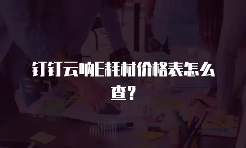 钉钉云呐E耗材价格表怎么查？