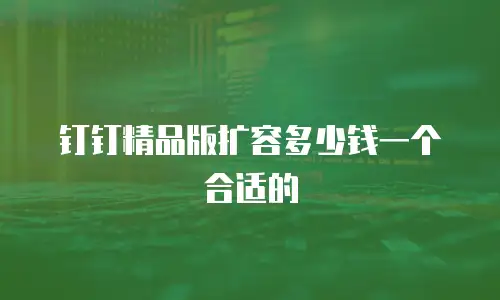 钉钉精品版扩容多少钱一个合适的