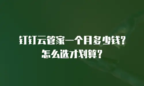 钉钉云管家一个月多少钱？怎么选才划算？