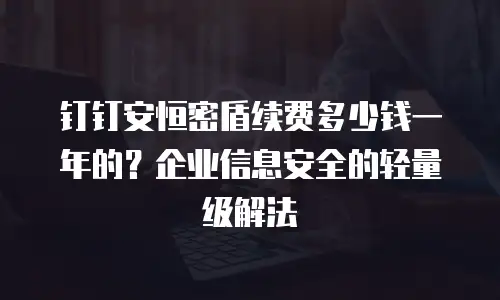 钉钉安恒密盾续费多少钱一年的？企业信息安全的轻量级解法