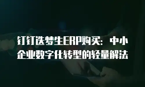 钉钉迭梦生ERP购买：中小企业数字化转型的轻量解法