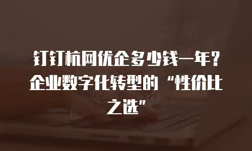 钉钉杭网优企多少钱一年？企业数字化转型的“性价比之选”