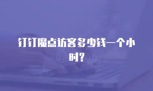 钉钉魔点访客多少钱一个小时？