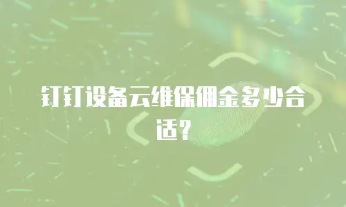钉钉设备云维保佣金多少合适？
