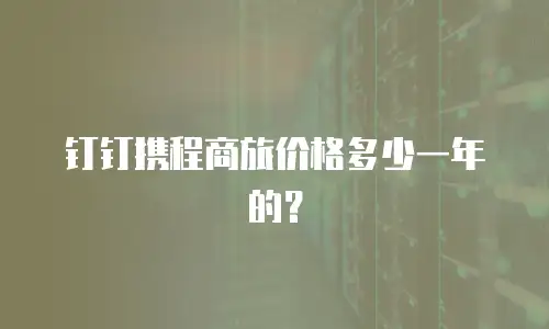 钉钉携程商旅价格多少一年的？