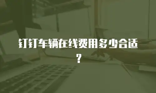 钉钉车辆在线费用多少合适？