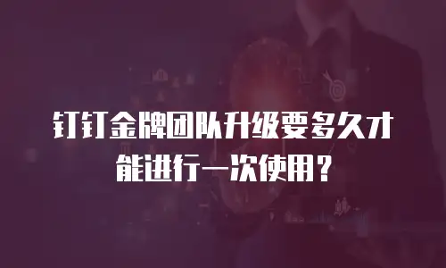钉钉金牌团队升级要多久才能进行一次使用？