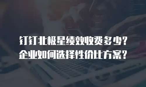 钉钉北极星绩效收费多少？企业如何选择性价比方案？