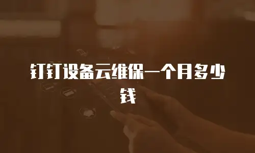 钉钉设备云维保一个月多少钱
