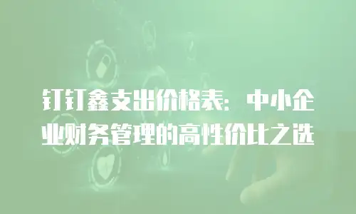 钉钉鑫支出价格表：中小企业财务管理的高性价比之选