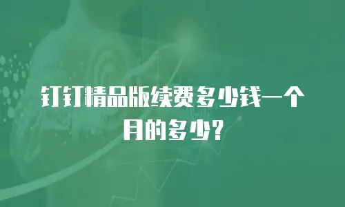 钉钉精品版续费多少钱一个月的多少？