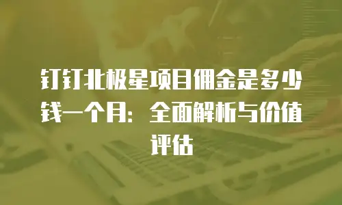 钉钉北极星项目佣金是多少钱一个月：全面解析与价值评估
