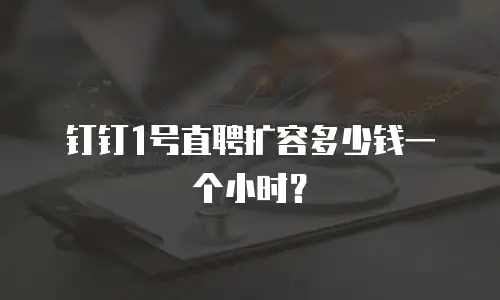 钉钉1号直聘扩容多少钱一个小时？
