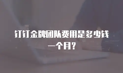 钉钉金牌团队费用是多少钱一个月？
