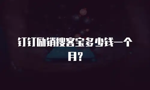 钉钉励销搜客宝多少钱一个月？